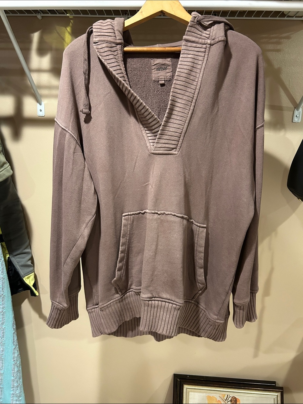 aerie down to earth Henley hoodie